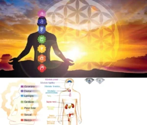 Les 7 chakras